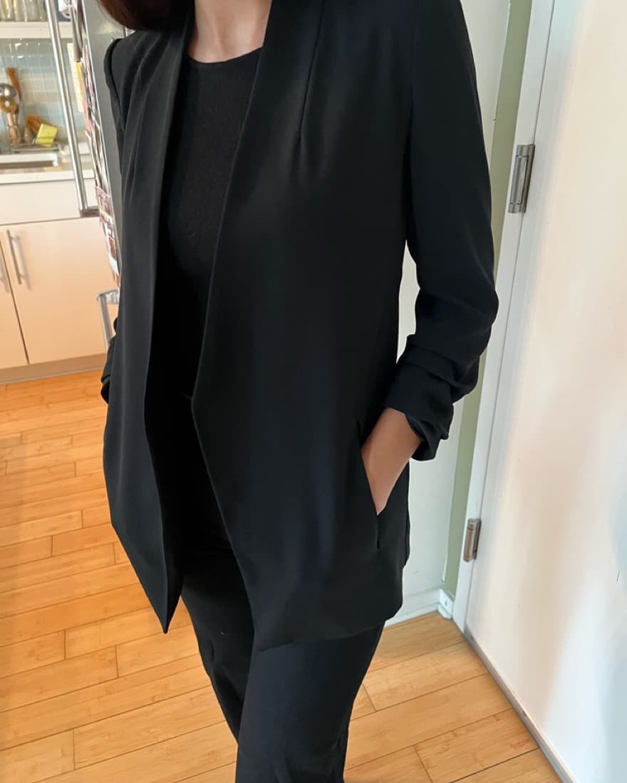 Aritzia Blazer- Babaton Power Blazer - Image 1