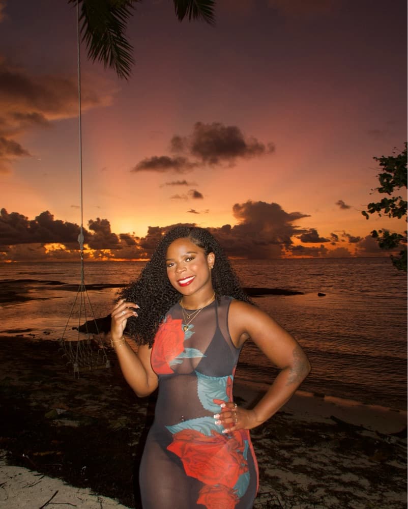 Mesh Tiger Mist Dress - Image 3