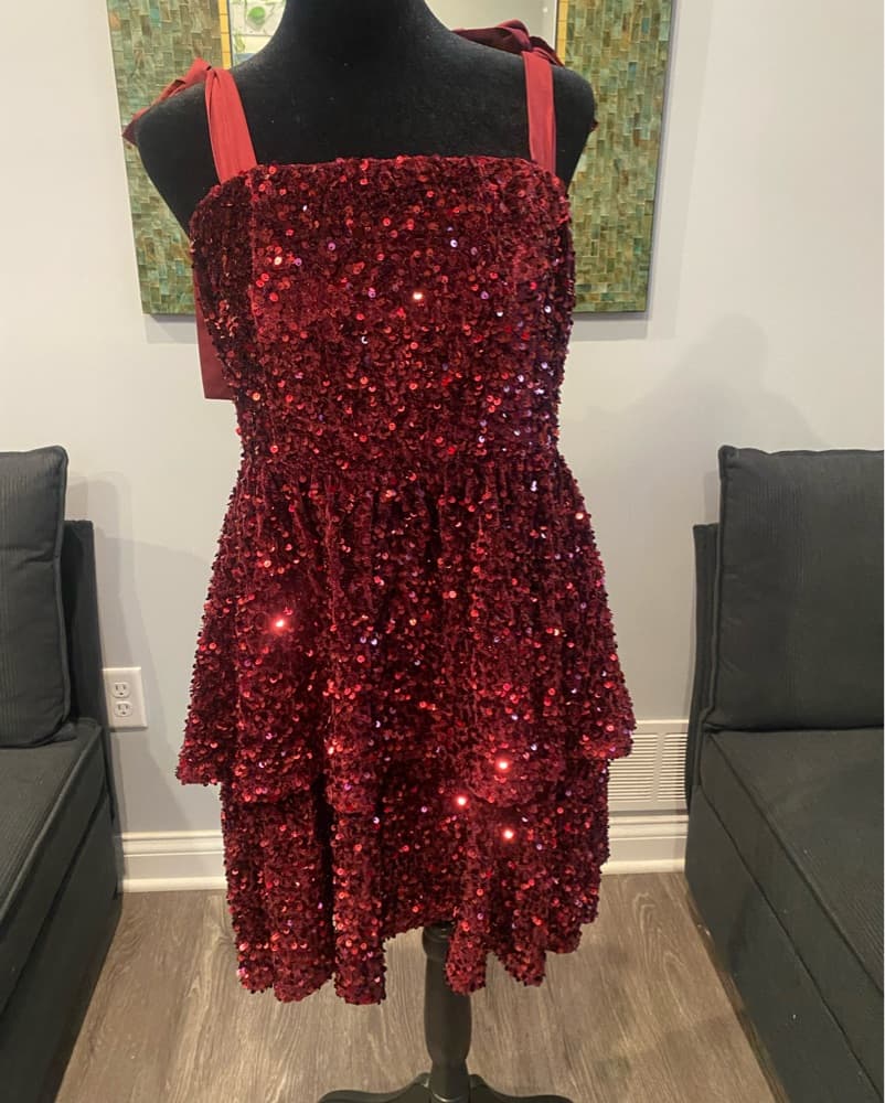 Sparkling Red Sequin Dress - Image 1