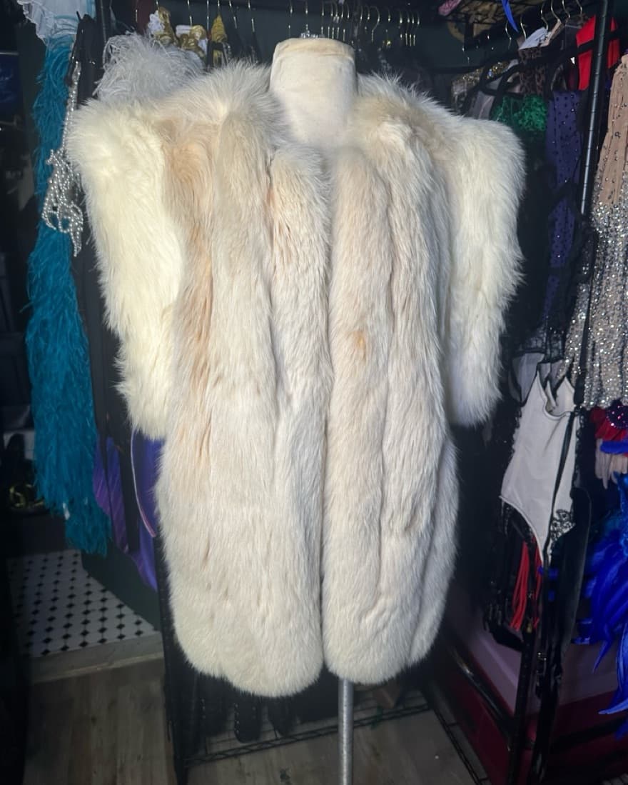 Vintage Fox Fur Vest - Image 1