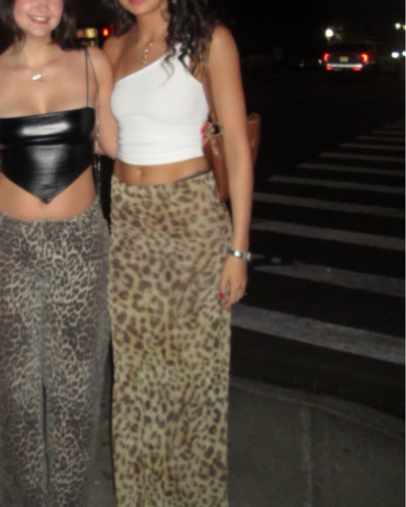 Leopard Print Zara Bandeau Slit Dress - Image 4