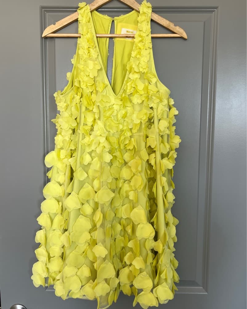 Maeve Applique Dress - Anthropology - Image 2