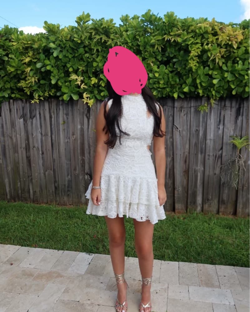 Alexis Varenna Dress  - Image 2