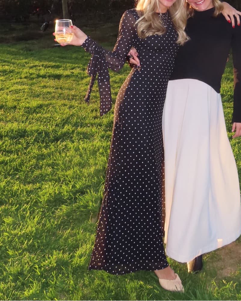 Marion Long-Sleeve Crew-Neck Mesh Maxi - Image 6