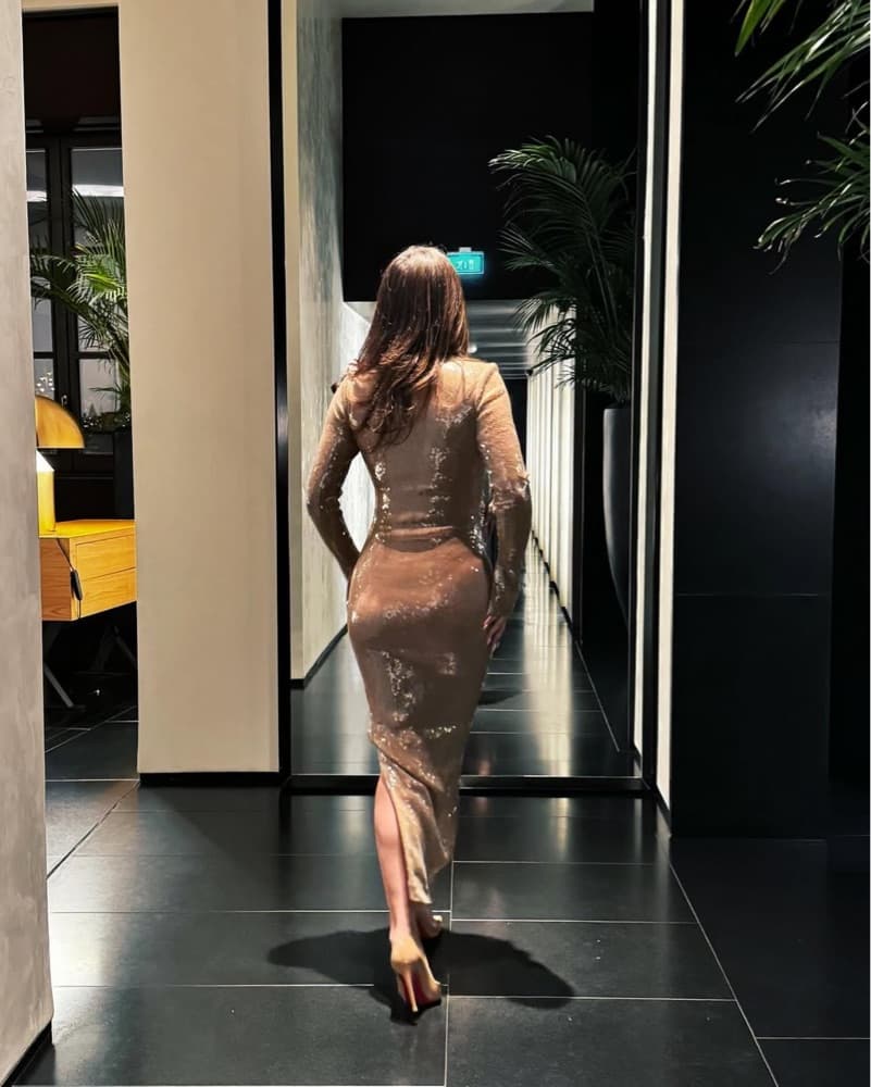 16Arlington Nude sequin Dress - Image 4
