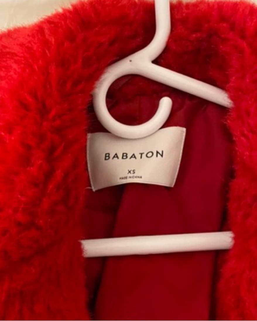 Aritizia Babaton Oren Coat - Image 2