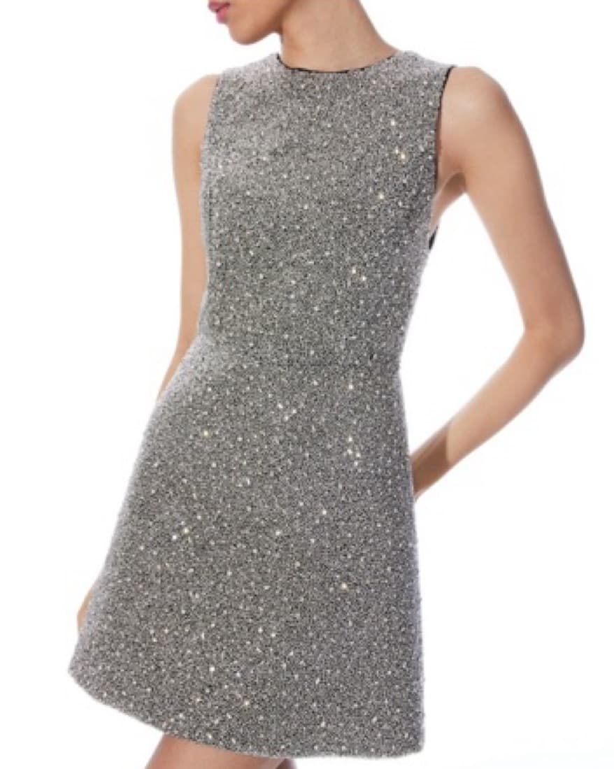 Sparkle Alice & Olivia Dress - Image 2