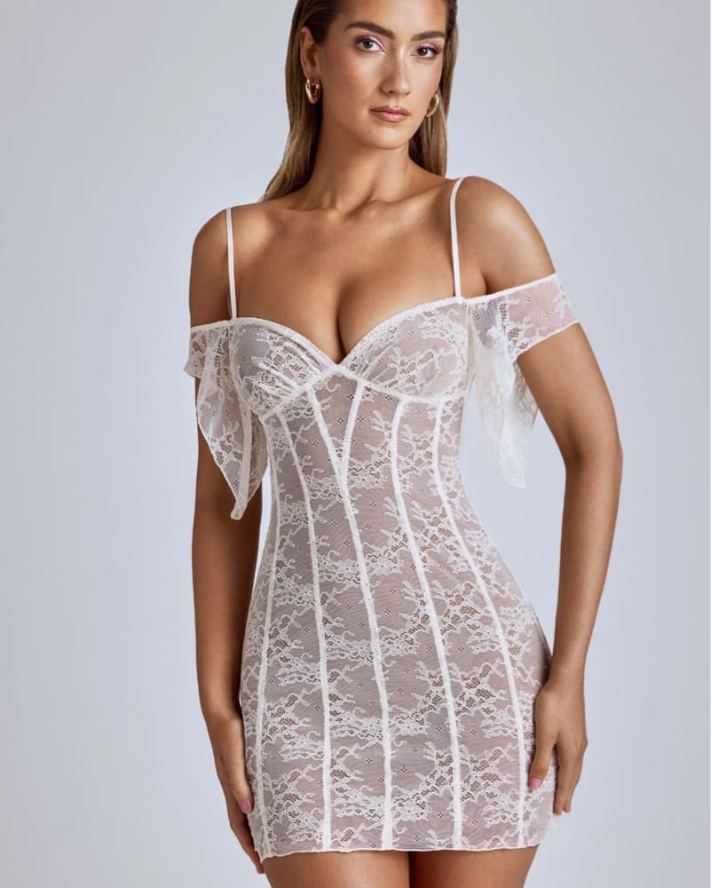 Sheer Lace A-Line Mini Dress - Image 1