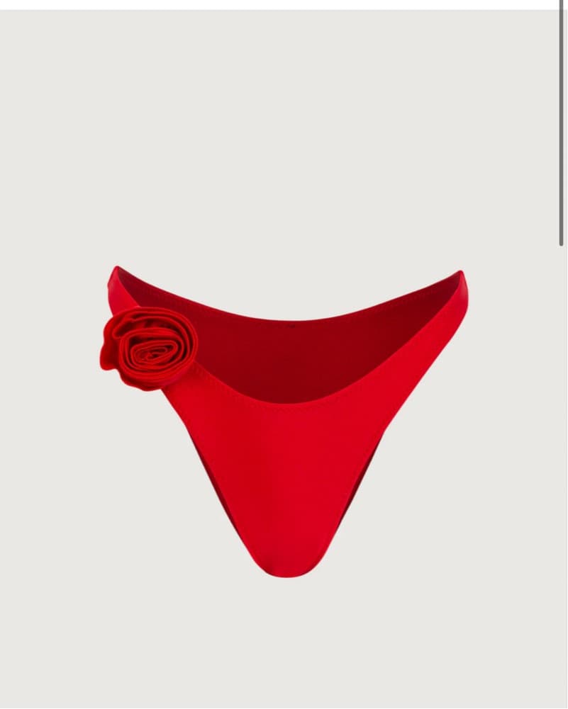 Same rose Bikini In Red  - Image 2