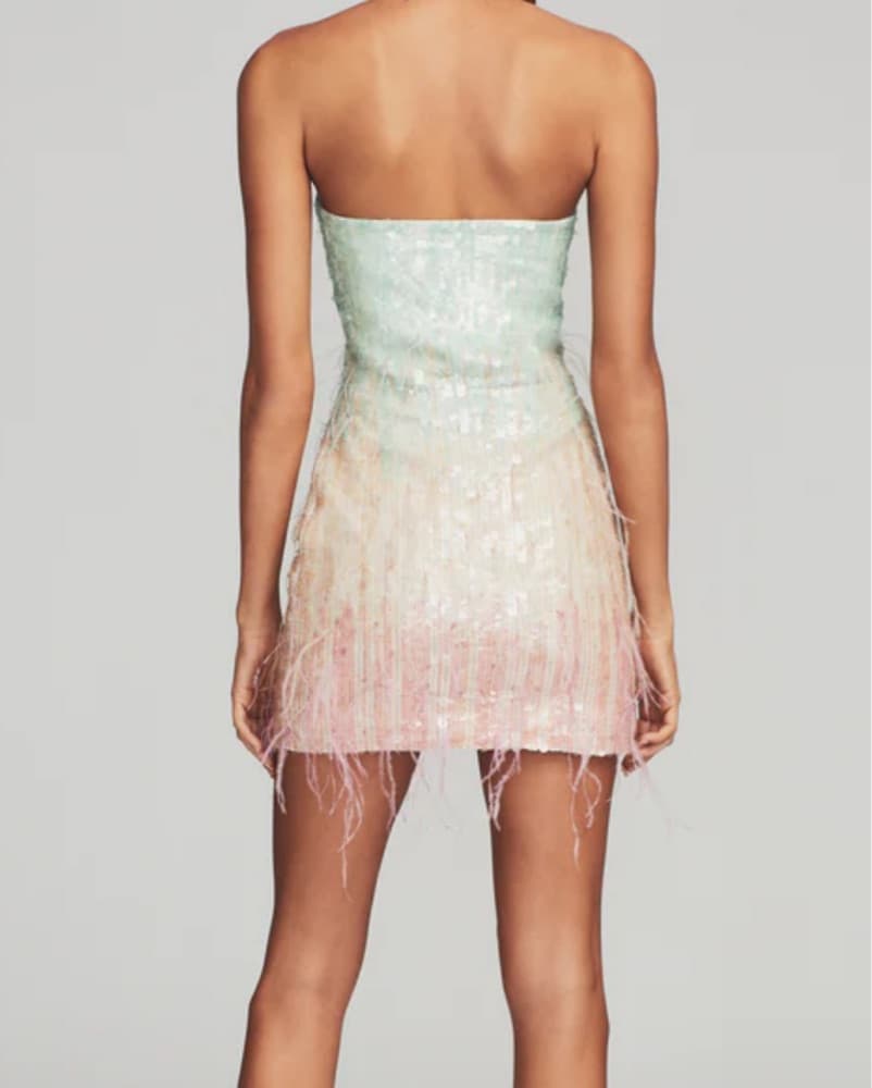 retrofete anastasia sequin feather dress - Image 3