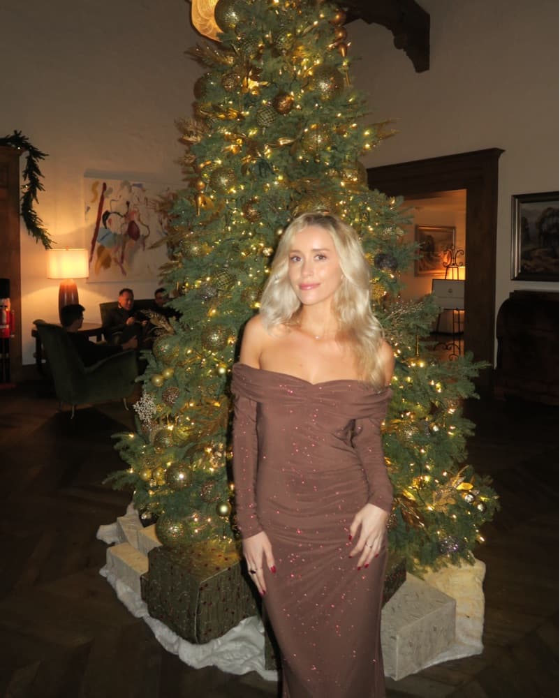 Sparkly Brown Off The Shoulder Dress - Image 6