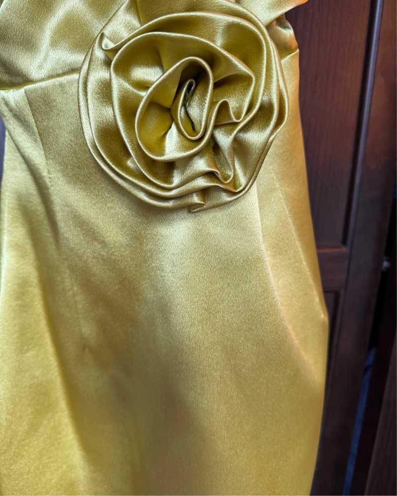 Miss Circle Marcia Gold Dress - Image 3