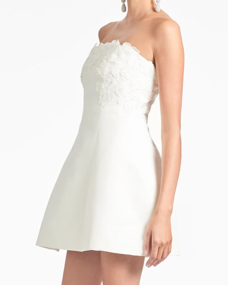 Sachin & Babi Alanna Minidress - Image 2