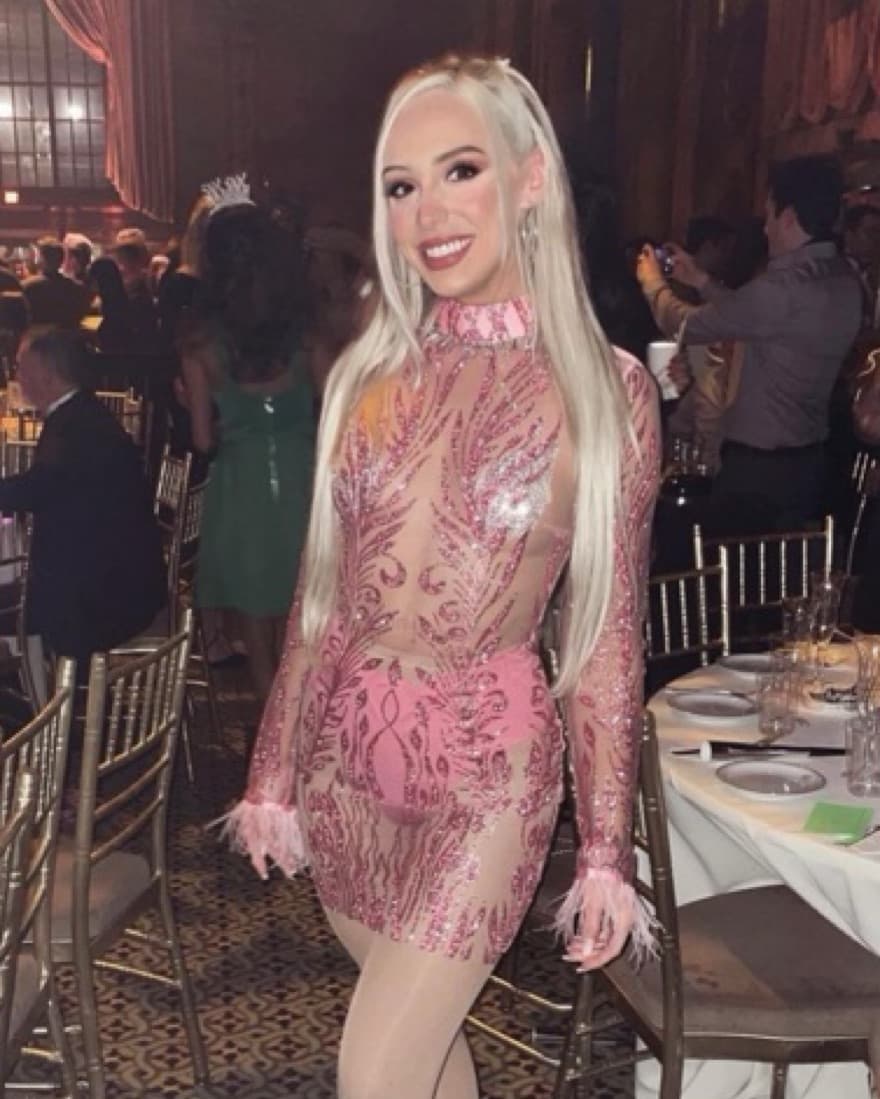 Sheer Pink Dress - Image 1