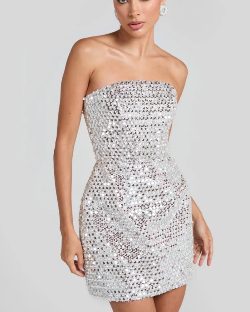 Nadine Merabi Silver Sequin Dress  - Image 4