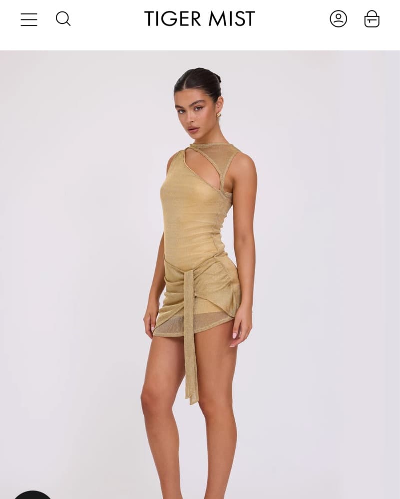 Tigermist Gold mini dress - Image 2