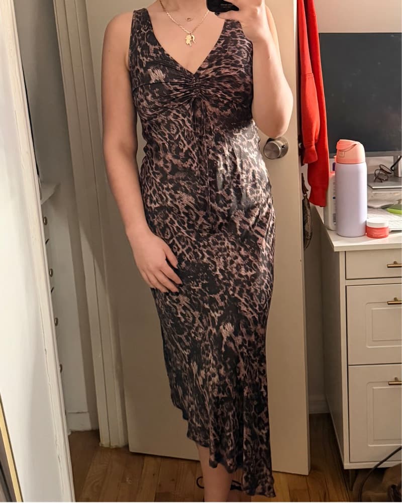 All Saints Leapord Silk Dress - Image 4