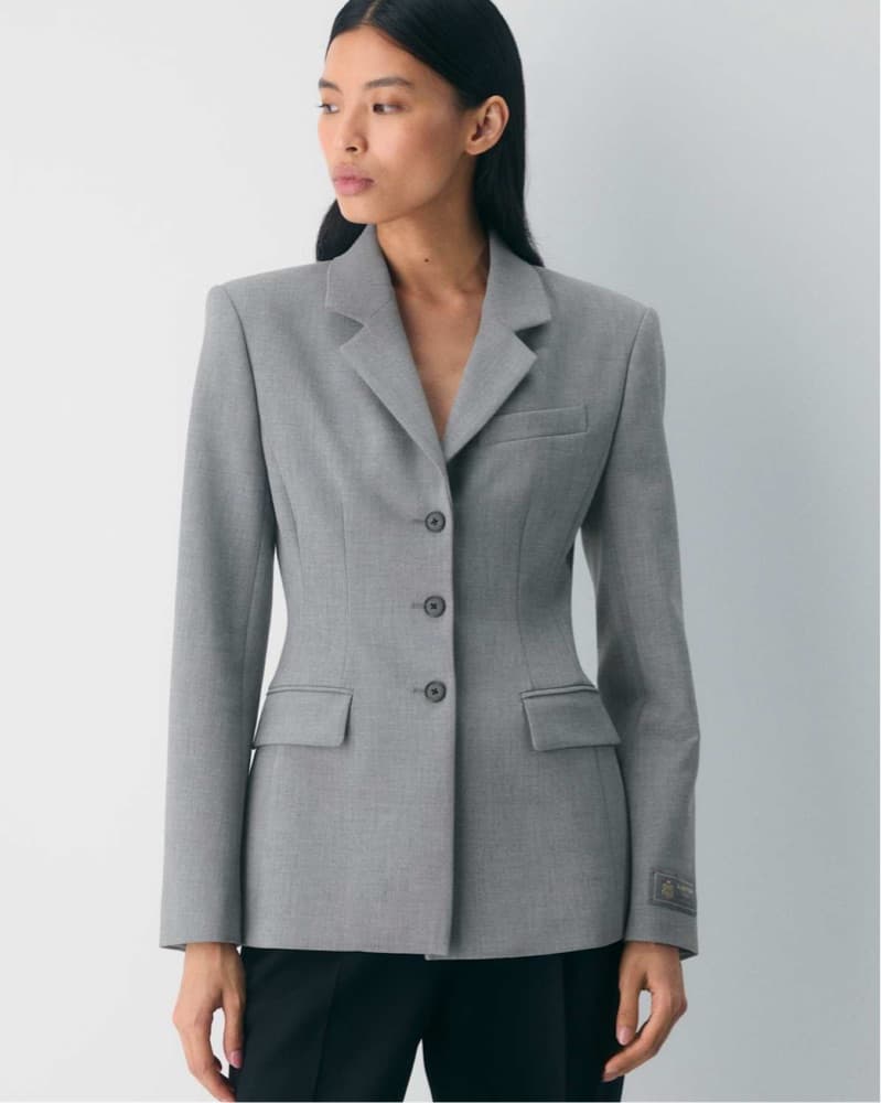 Babaton Aritzia Standout Blazer - Image 1
