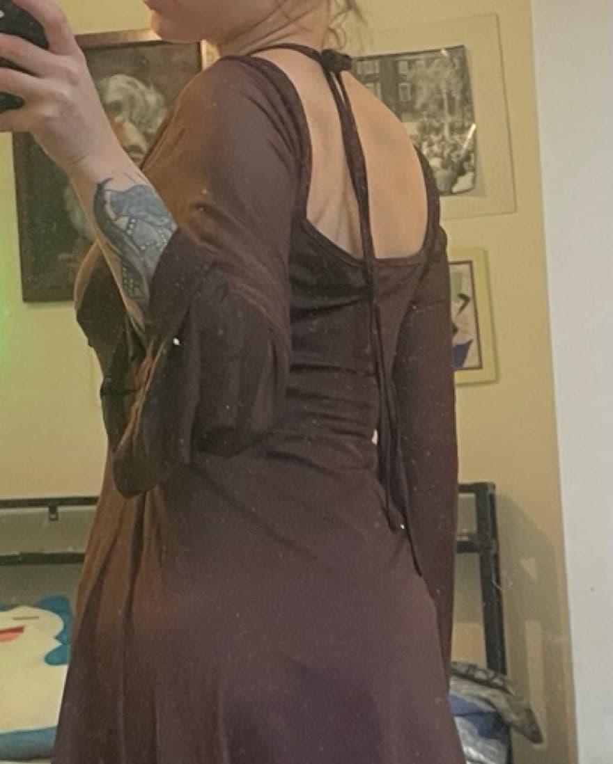 Brown Sheer Cider Dress - Image 1