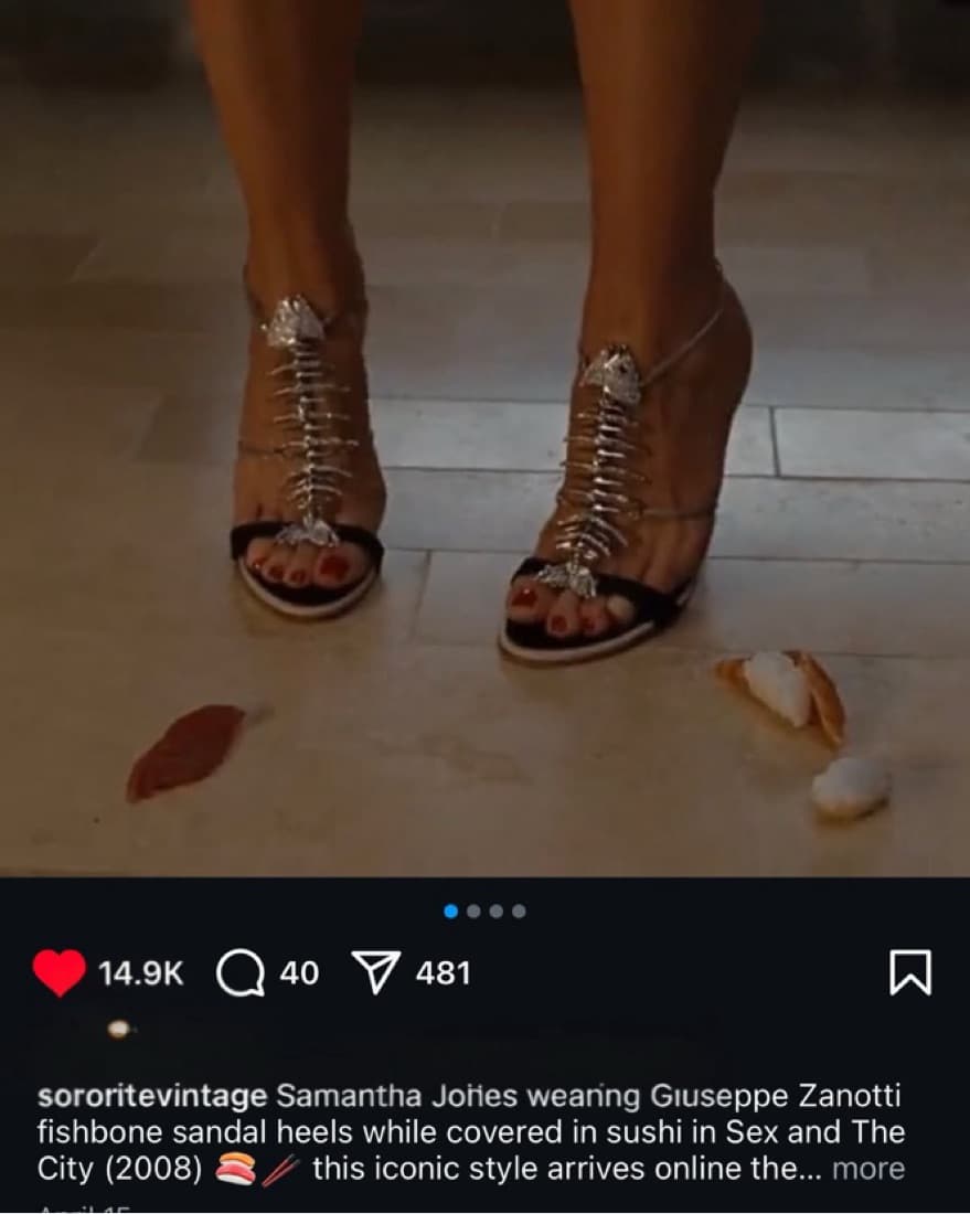 Guiseppe Zanotti Fishbone Heels  - Image 2