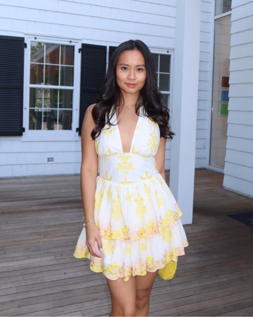 Revolve Serafina Summer Dress - Image 2