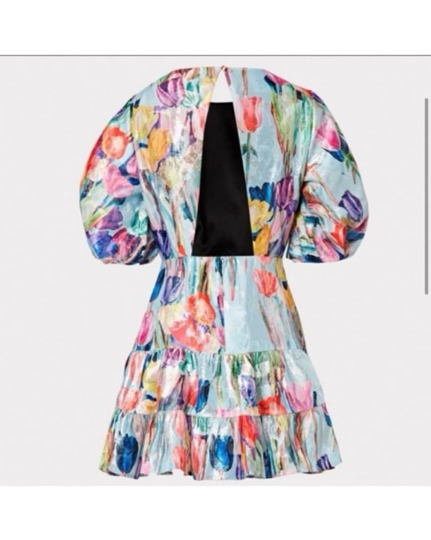 Milly Dress - Image 3