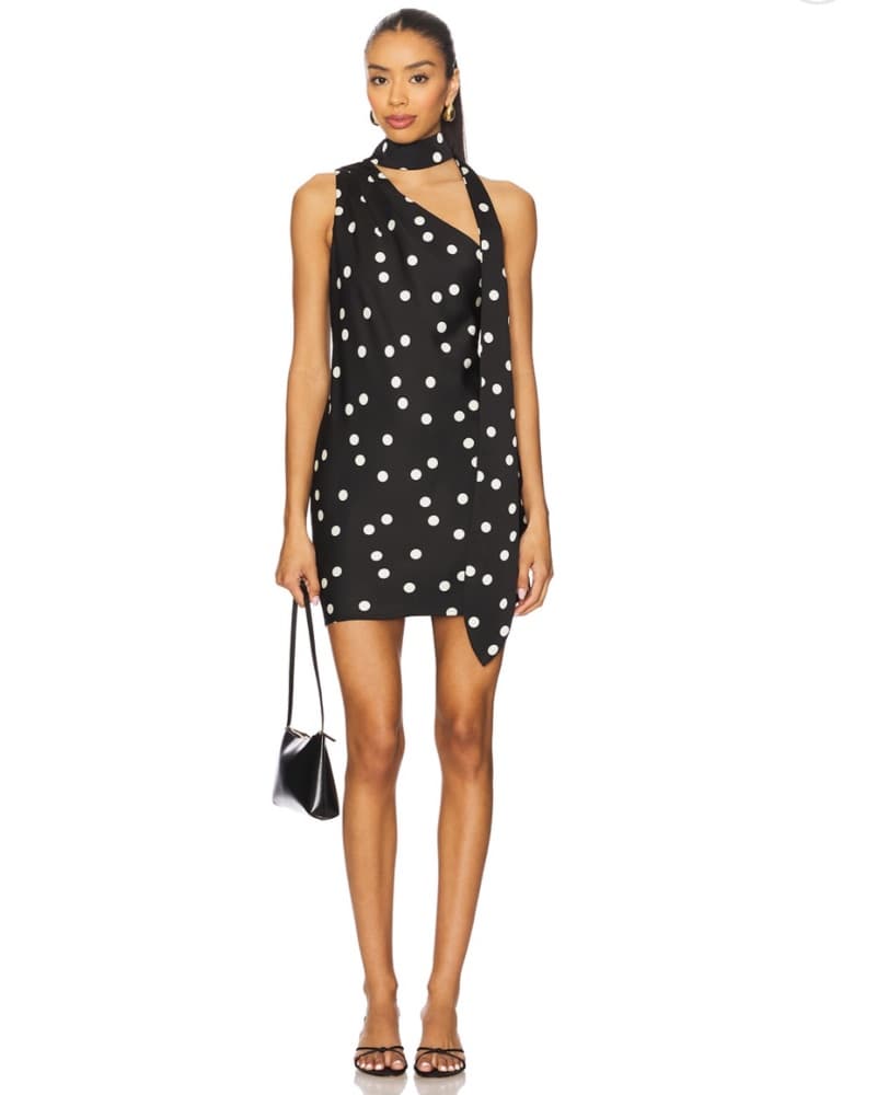 Polka Dot Mini Dress - Image 1