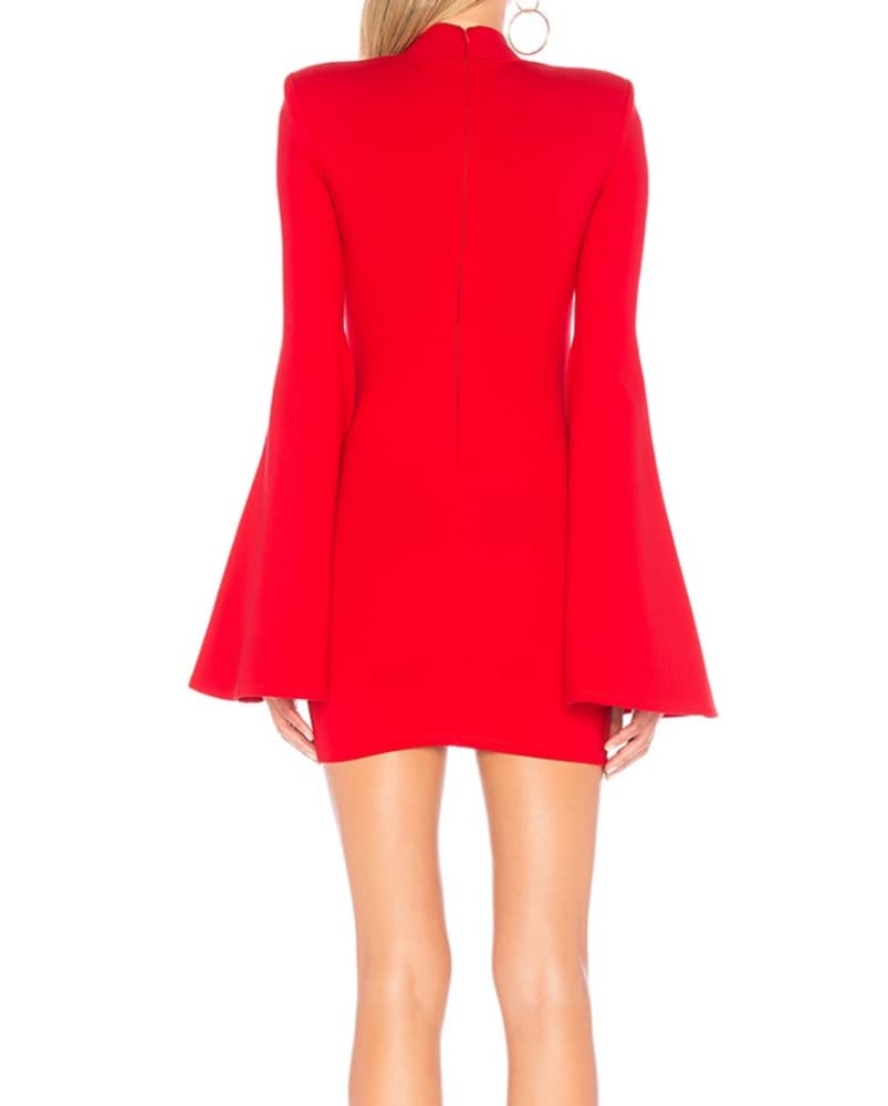 Mr. Gibson Mini Dress  - Image 4