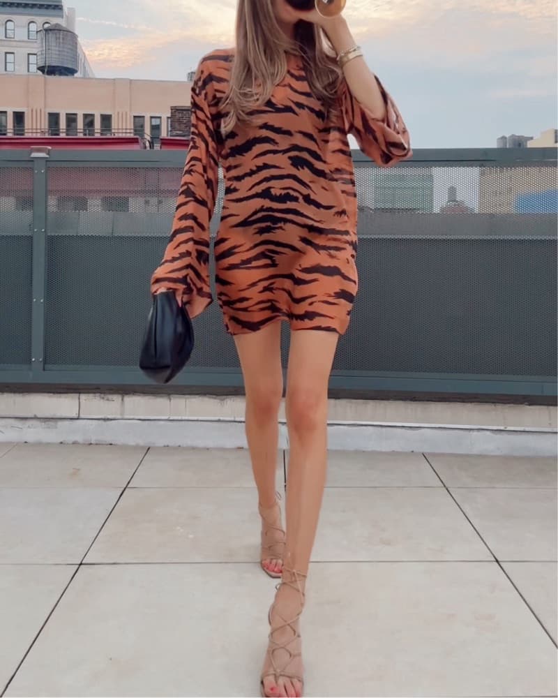 Adriana Degreas Mini Tiger Dress - Image 1