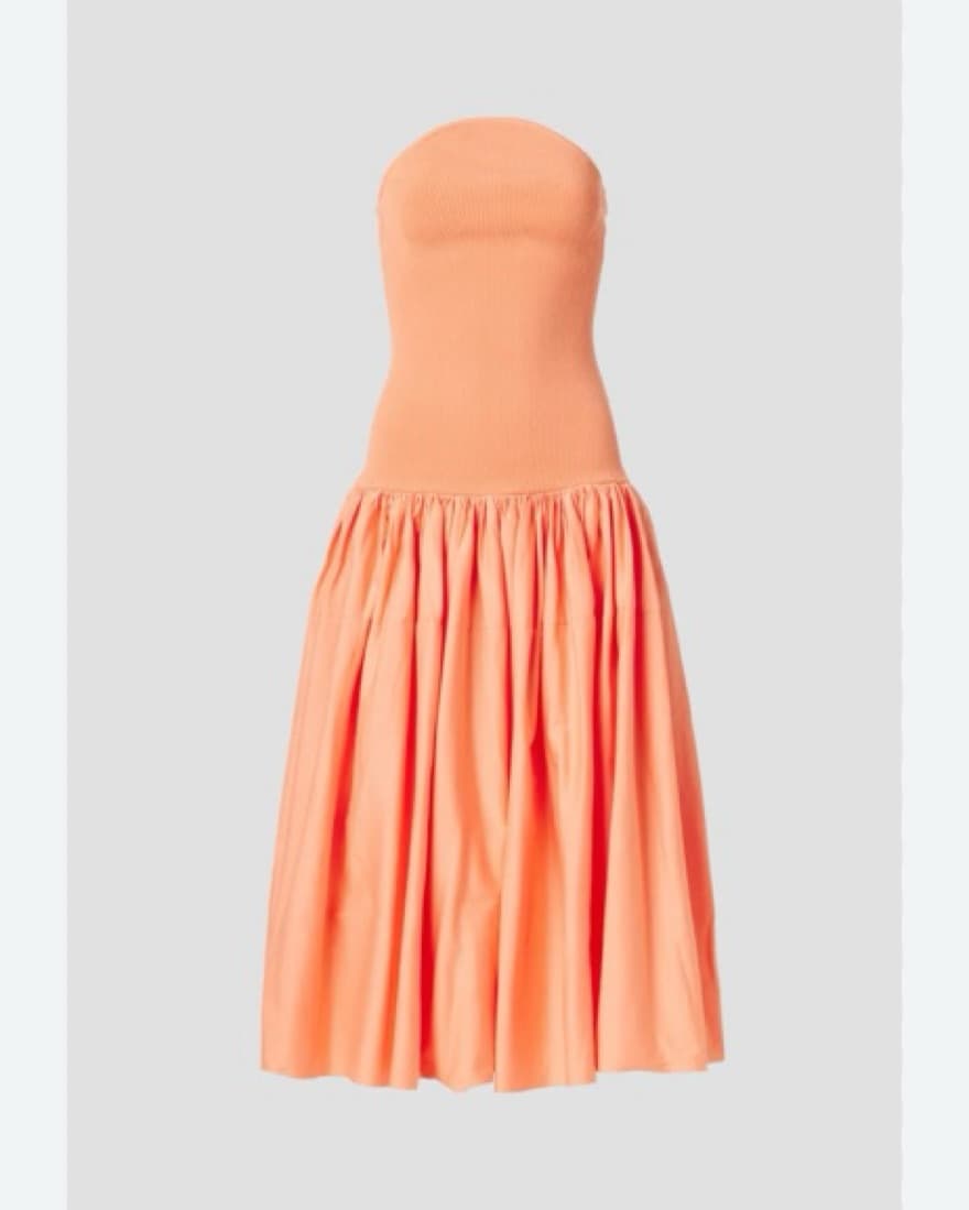 Alexis Kamali Dress in Coral - Image 4