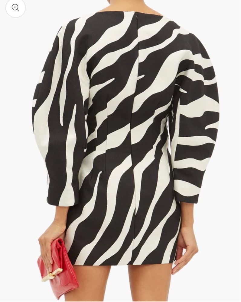 Zebra Mini Dress From Elzinga - Image 2