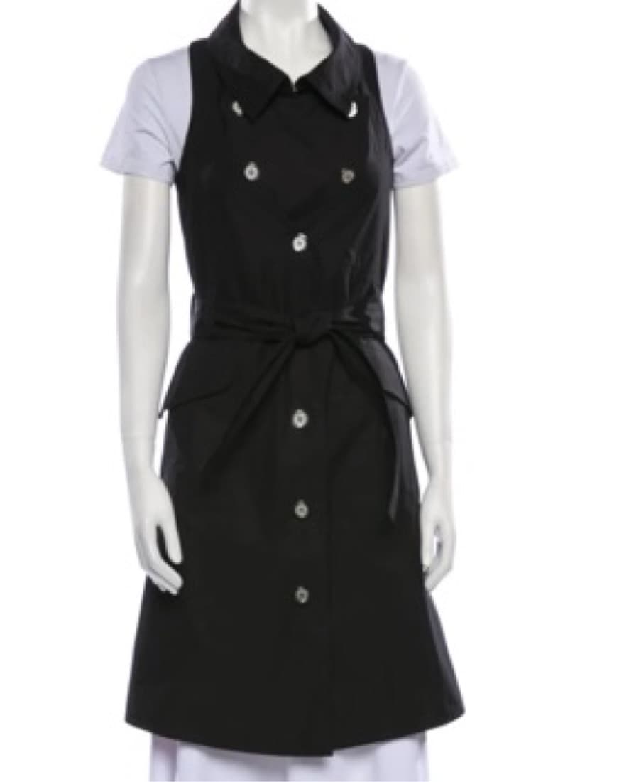 Celine Button & Belted Shirt Dress - Image 4