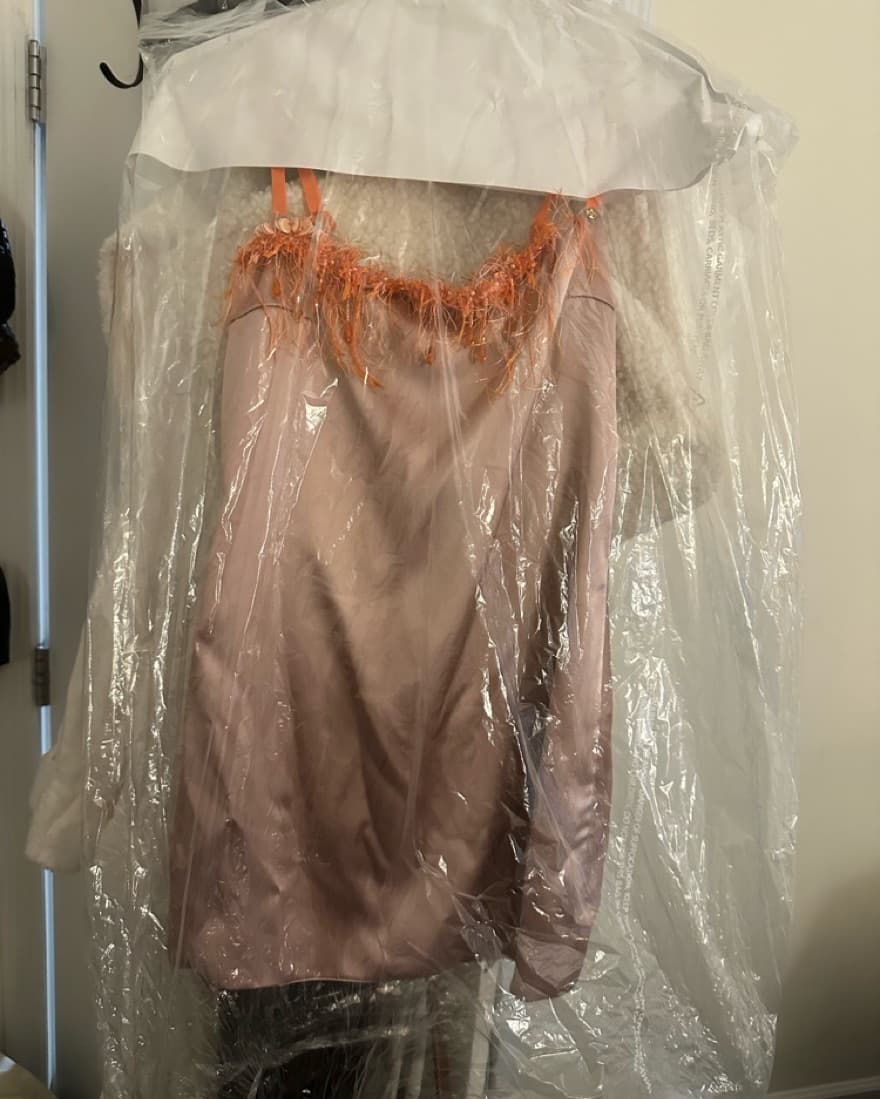 Danielle Guizio Dress - Image 6