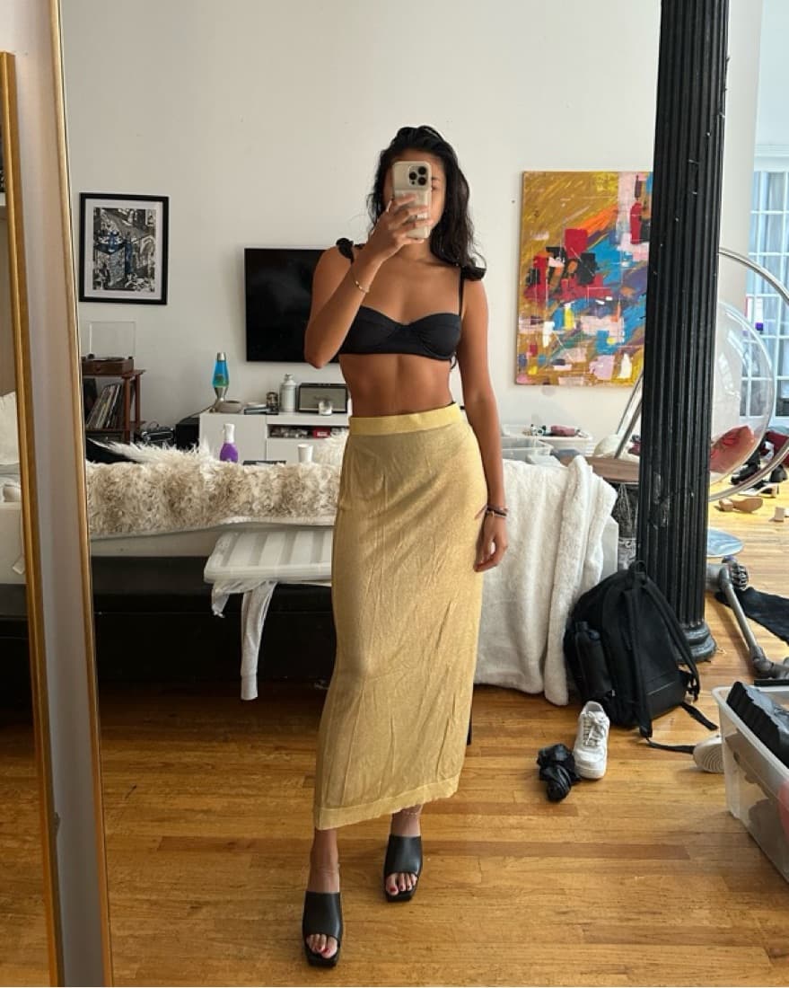 Sheer Gold Metallic Zara Skirt - Image 6