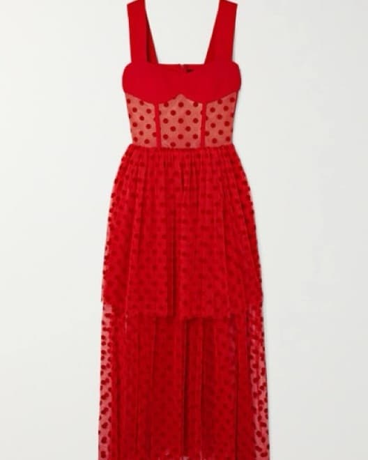 Rasario Polka Dot Tiered Tulle Dress - Image 1