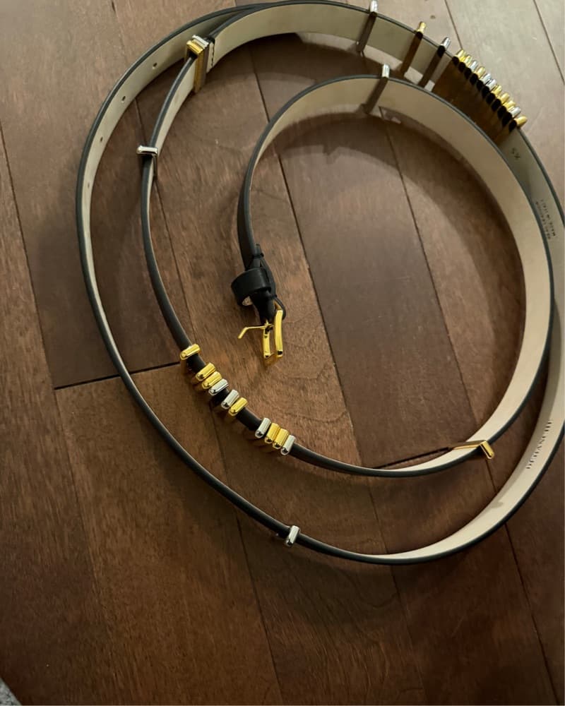 Dehanche Richa Mixed Metal Belt - Image 5