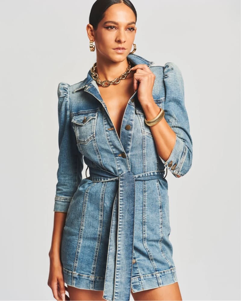 Retrofete- Denim Dress with Puff Sleeves - Image 3