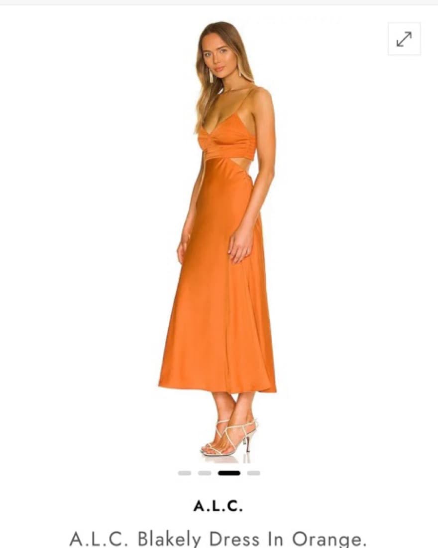 ALC Burnt Orange Silk Dress  - Image 4