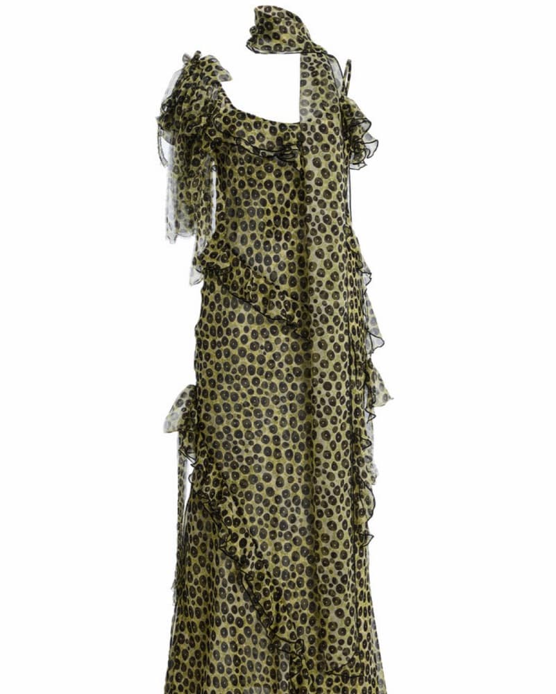 SIEDRÉS Monica Ruffled Chiffon Dress - Image 6