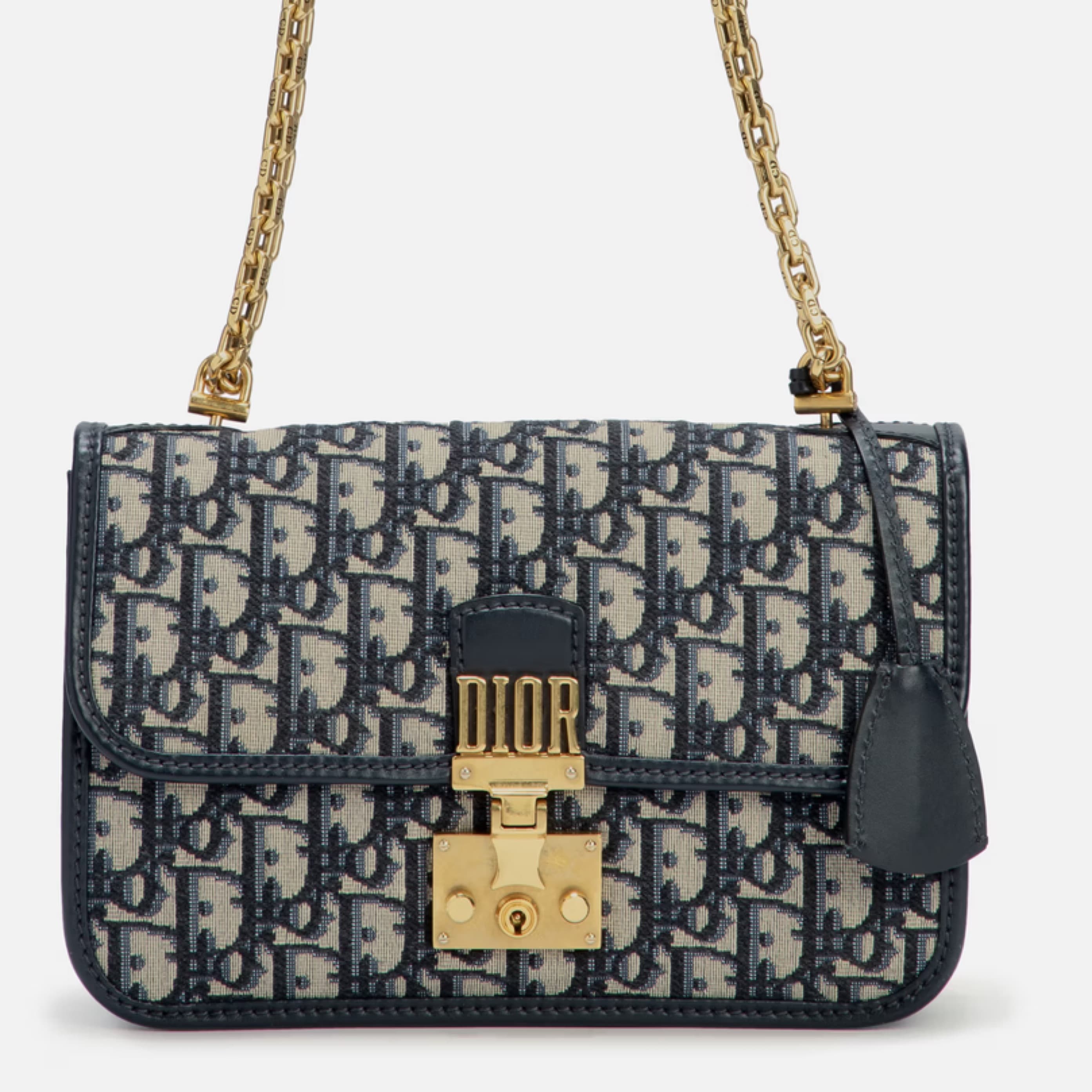 Dior Oblique Canvas and Leather Dioraddi - Image 5
