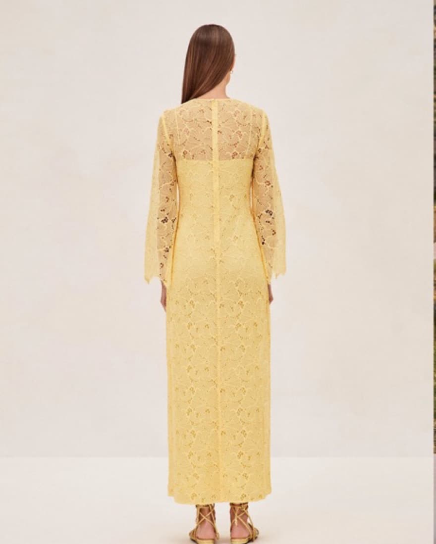 Alexis Sariyah Dress - Image 3