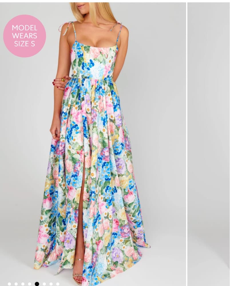 Show Me Your Mumu Juliet Maxi Dress - Image 1