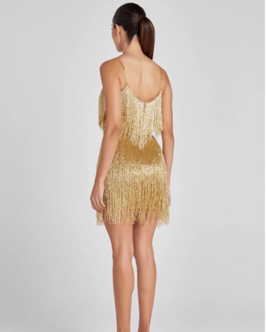 Gold Fringe Mini Dress - Image 5