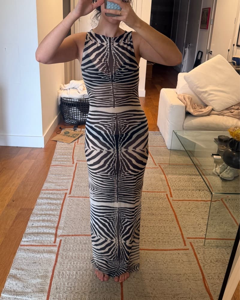 Revolve Zebra Dress - Image 3