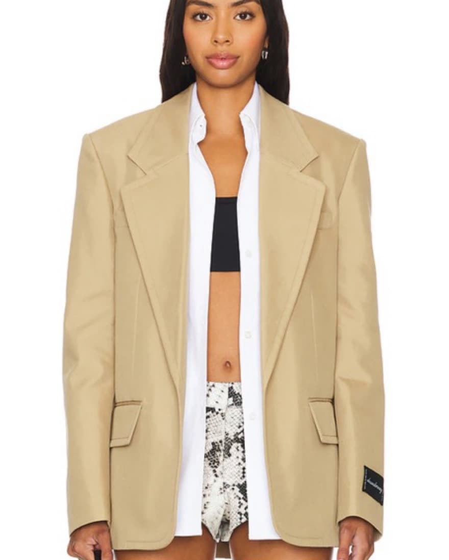 Alexander Wang Oversized Blazer - Image 4