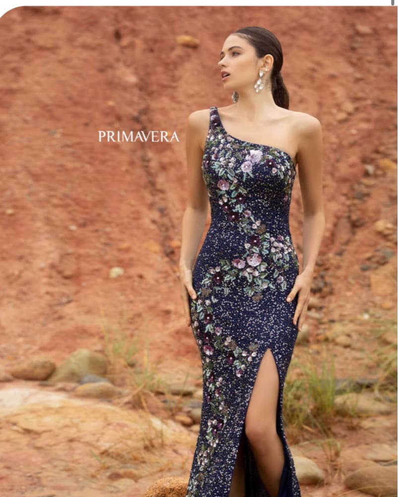 Primavera Long Beaded Dress - Image 1