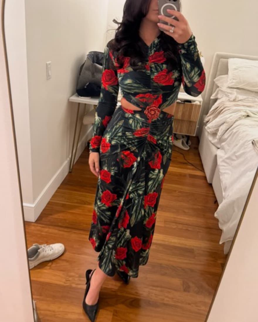 LAGENCE ROSE DRESS - Image 1