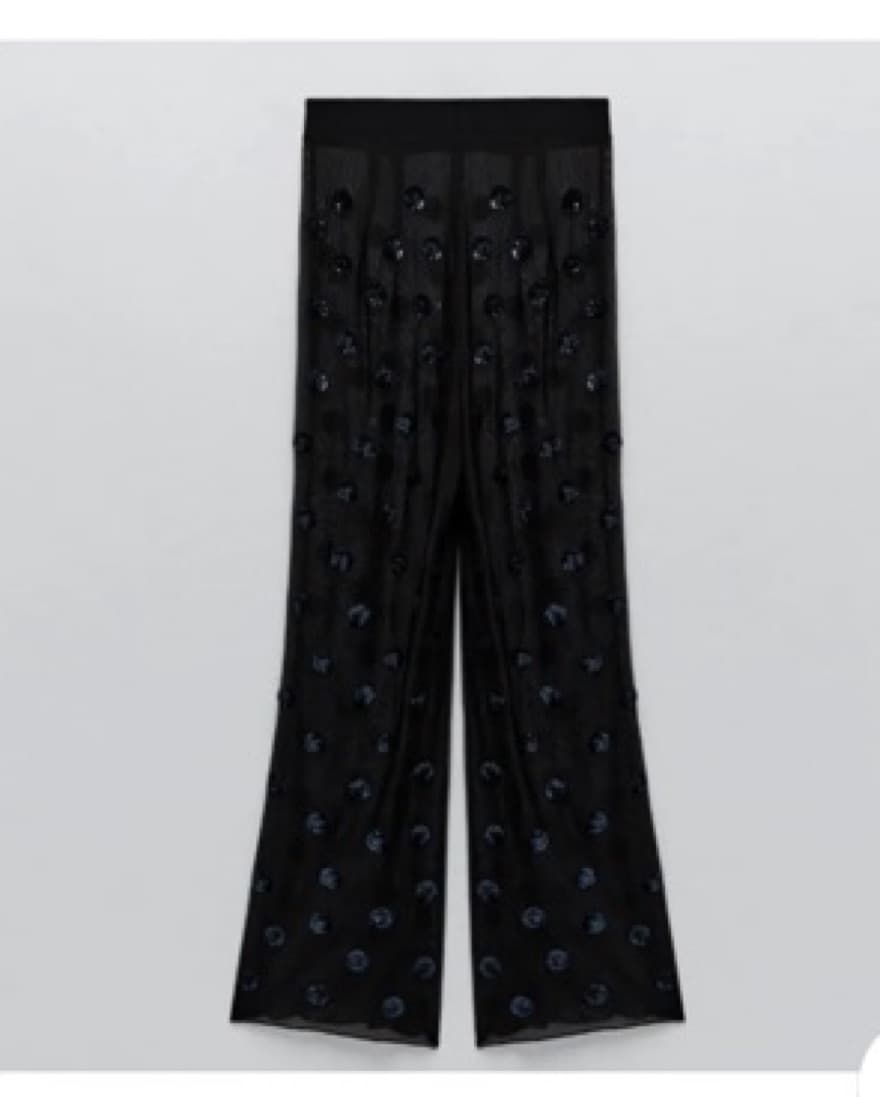 Zara Sheer Set With Sequin Polka Dots - Image 5