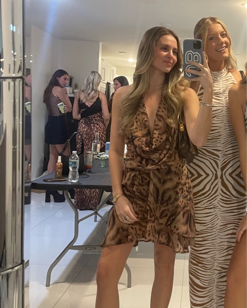 Animal Print Mini Dress  - Image 3