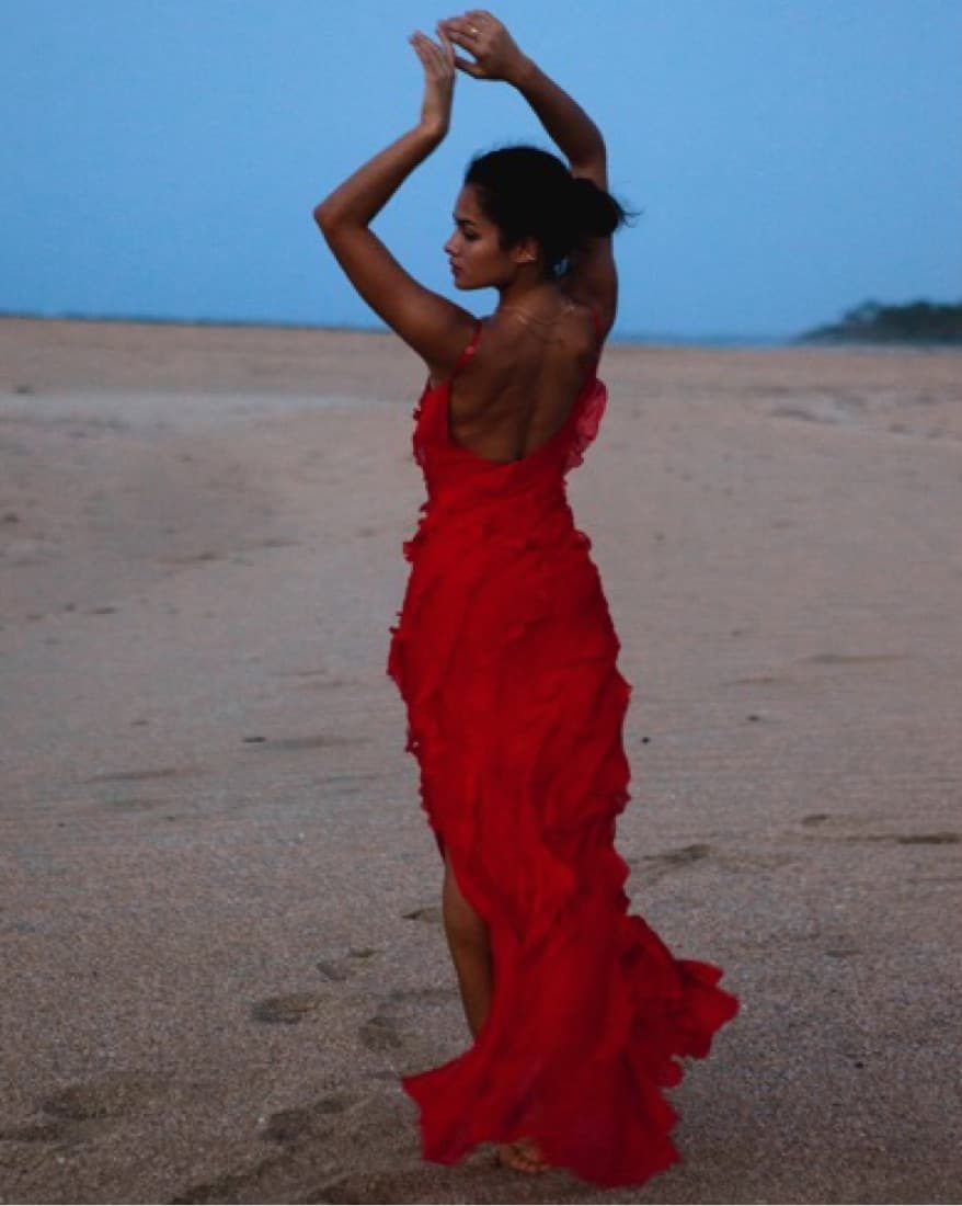 Rat And Boa Red Cecilia Dress  - Image 4